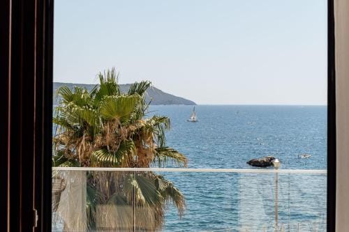 Villa Swisslion Hotel in Montenegro