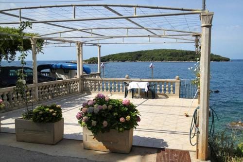 Apartments and rooms by the sea Molunat, Dubrovnik - 8964 Hotel in Dubrovnik-Neretva County
