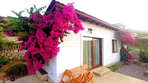 Kavurlukoz Butik Apart Hotel in İzmir Province