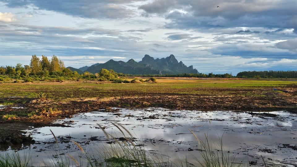 Surrounding environment