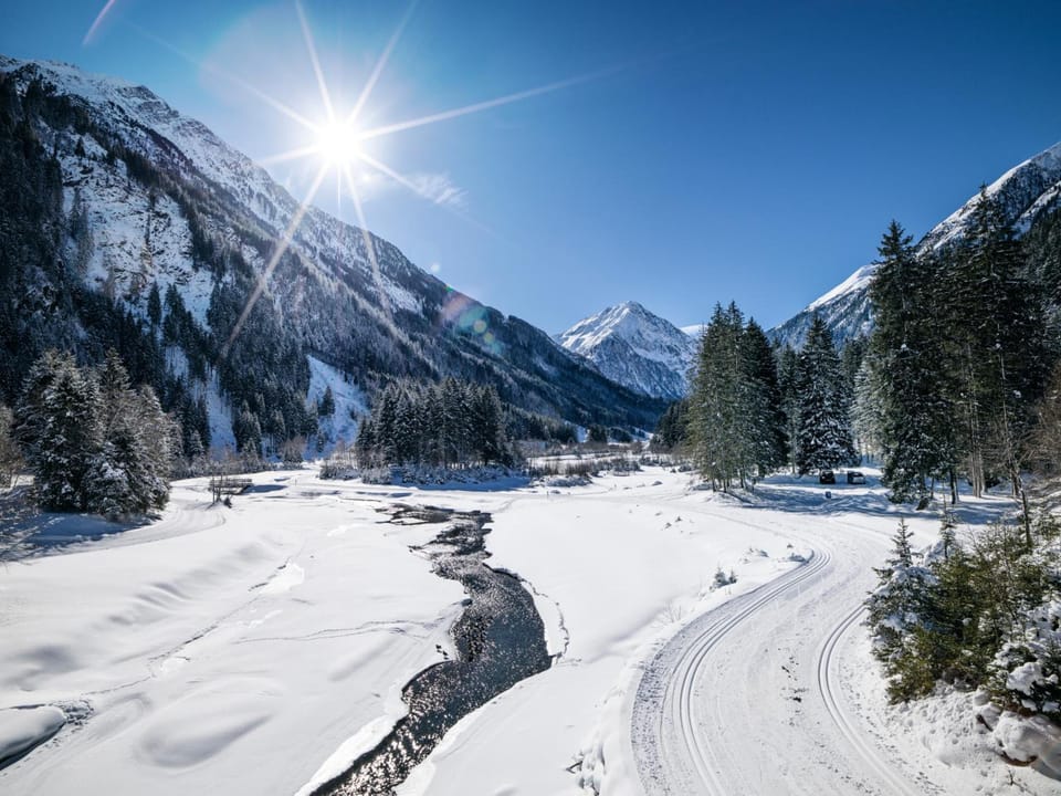 Ferienwohnung Stern Hotel in Neustift im Stubaital