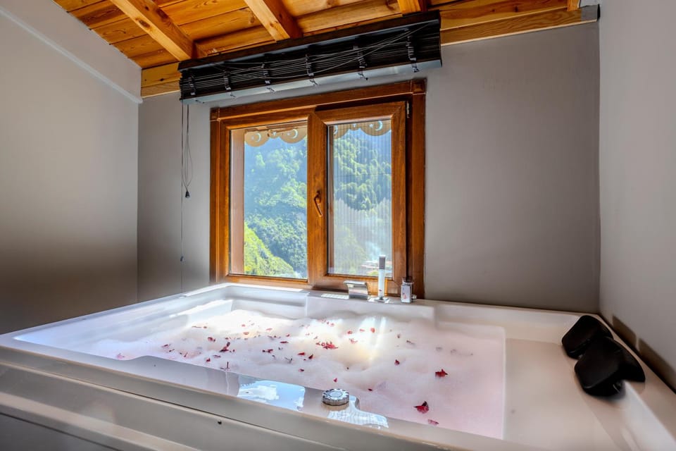 Ayder Palazzo Hotel Hotel in Turkey