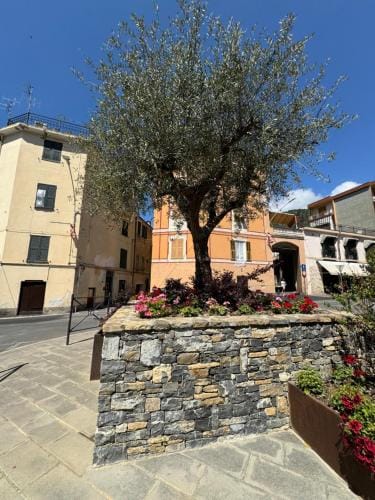 Fiori di ulivo Hotel in Liguria