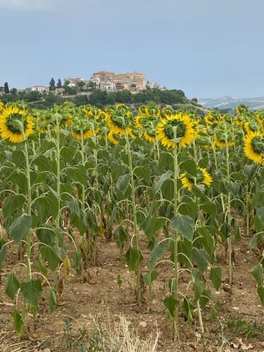 Flavia 21 Hotel in Abruzzo