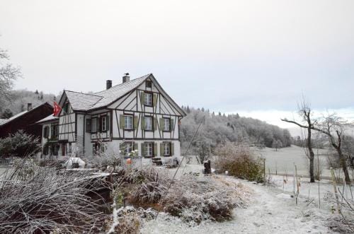 B&B Bad Tiefenau, HAUS AN DER QUELLE Hotel in Canton of Zurich