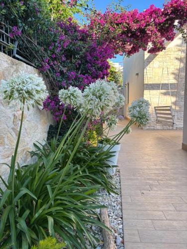 Spirito Santo Hotel in Bari