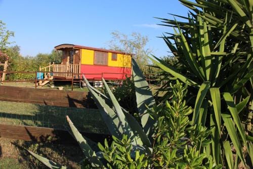 Roulotte Lou Gregau Hotel in Saintes-Maries-de-la-Mer