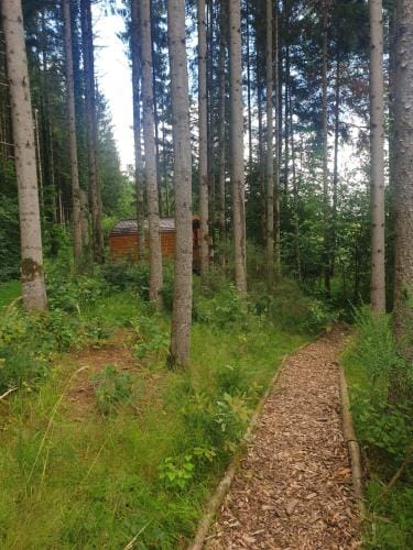 White wood lodge Lodge in Vosges