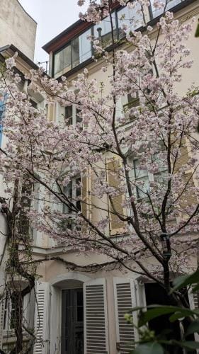Chambres d'hotes calmes sur jardin Paris Batignolles Hotel in Paris