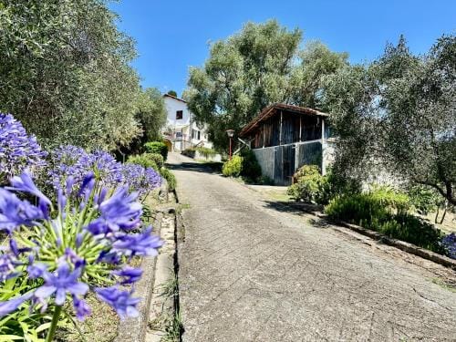 Agriturismo Uliveto Bartolomeo Hotel in Sestri Levante