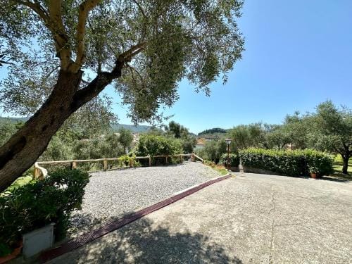 Agriturismo Uliveto Bartolomeo Hotel in Sestri Levante