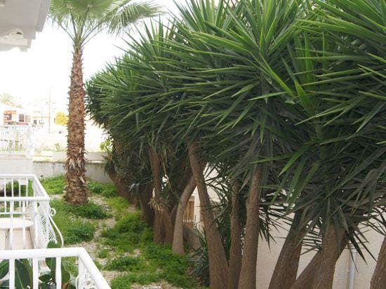 Antonis G Hotel Apartments Ξενοδοχείο Hotel in Oroklini