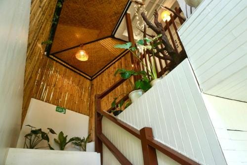 Closca Hostel Koh Tao Hostel in Ko Tao