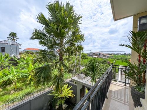 1 Min To Batu Bolong Island Boy Guesthouse Kt 5 Hotel in North Kuta