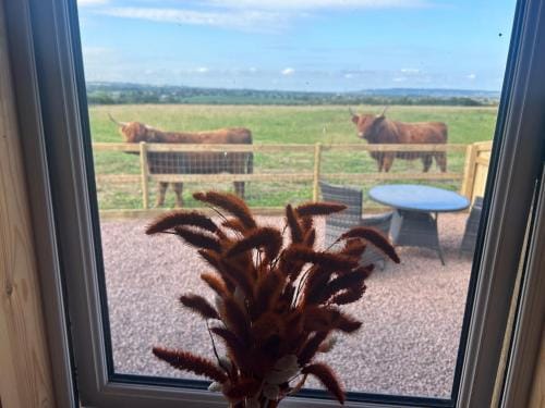 Maylands Farm Glamping Pod Hotel in Trowbridge