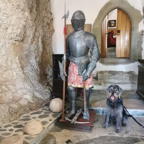 Burg Hermannstein - Queens Room Hotel in Wetzlar