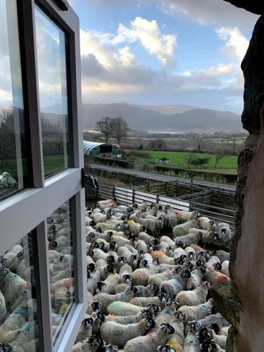 Highside Farm Hotel in Allerdale District