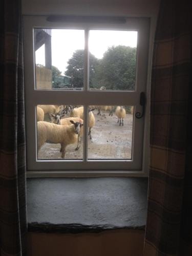Highside Farm Hotel in Allerdale District