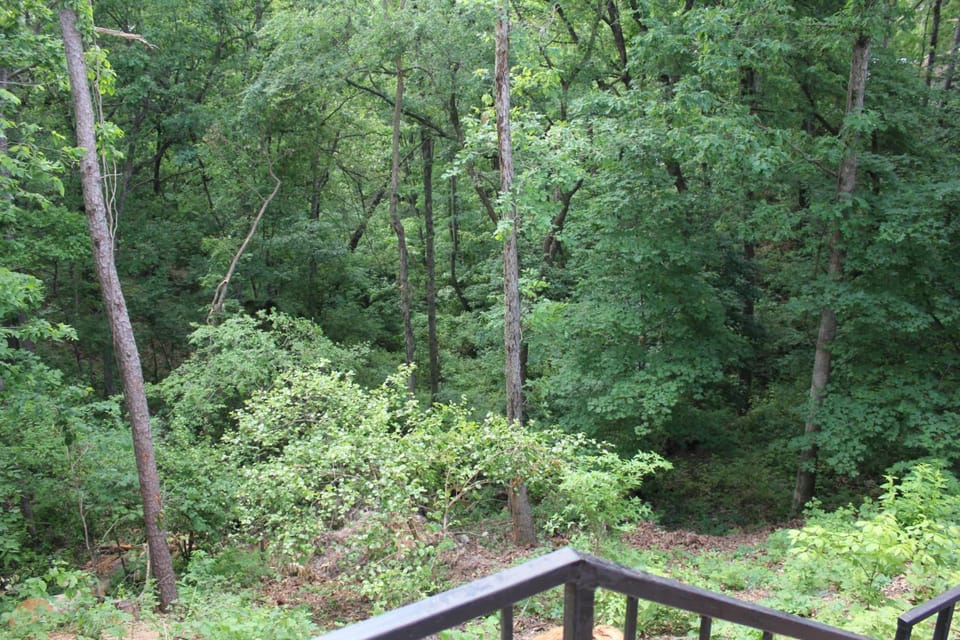 Brydan Suites Motel in Eureka Springs