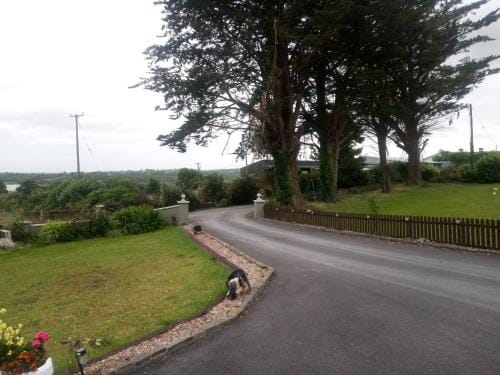 Blackbrink cottage Hotel in County Galway