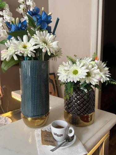 Fly in Viareggio beach in front of the famous promenade with shops and establishments Hotel in Viareggio