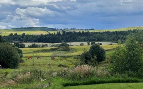 Endeavour Guest House Hotel in Scotland
