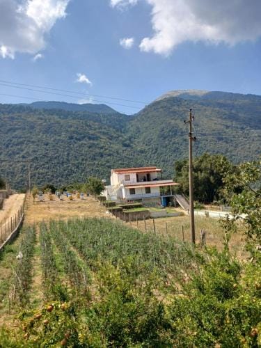 Ari's cozy rooms, Llogara Hotel in Vlorë County, Albania