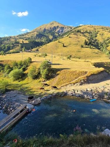 Eko Katun Hako Lodge in Montenegro