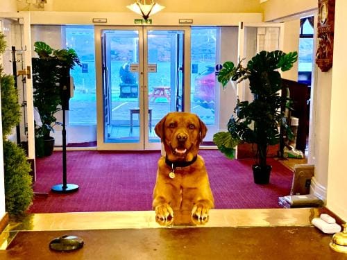 The Lochalsh Hotel - Views of Skye Bridge Hotel in Scotland