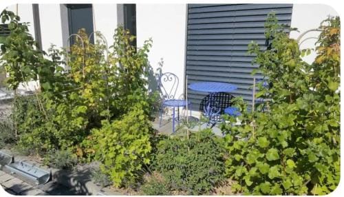 Studio, entree par terrasse Hotel in Geneva