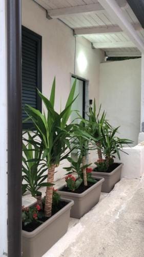 Komodo Rooms Hotel in Agropoli