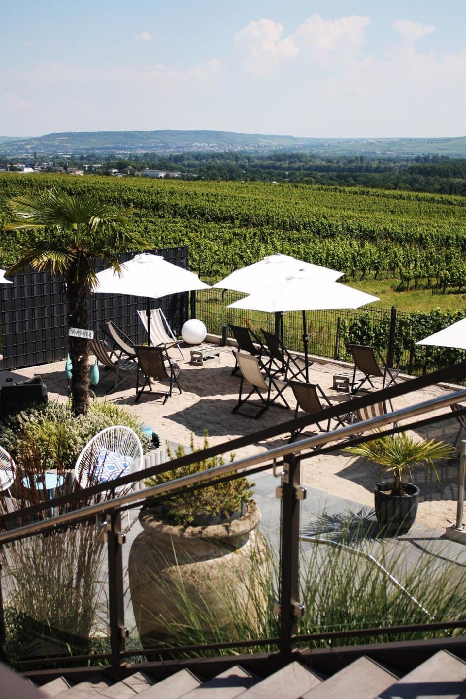 Weingut Magdalenenhof Hotel in Oestrich-Winkel