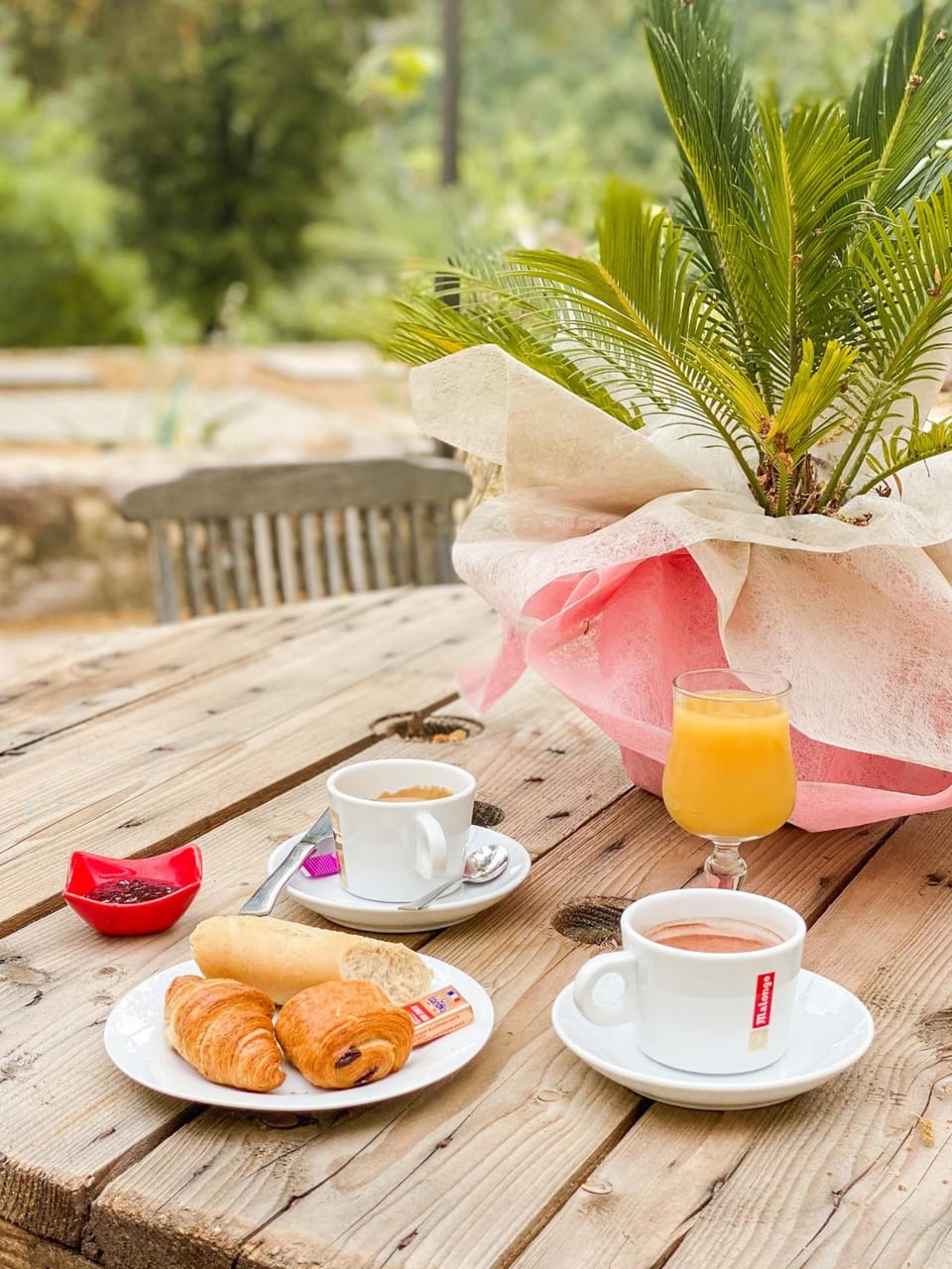 Auberge De La Foret Bonifatu Hotel in Corsica