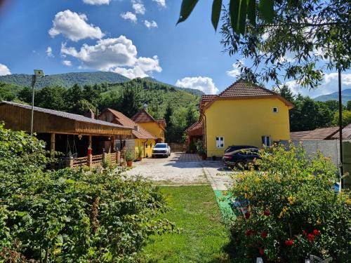 Pensiunea Agroturistica La Doina Hotel in Serbia