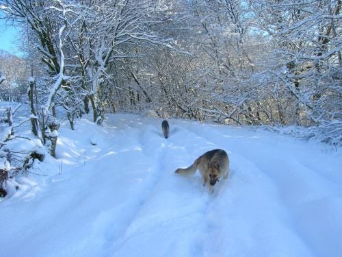 Sorbietrees B&B Hotel in England