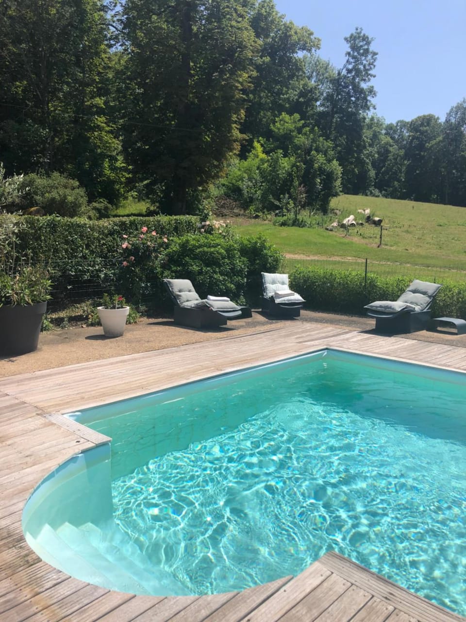 Chateau de SURY Hotel in Bourgogne-Franche-Comté