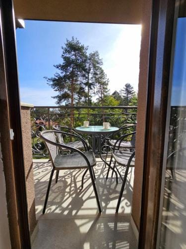 Vila Vujic Tara Hotel in Zlatibor District, Serbia