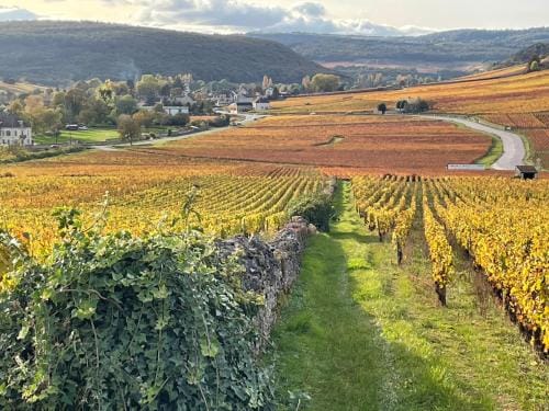 Les vrilles Hotel in Bourgogne-Franche-Comté