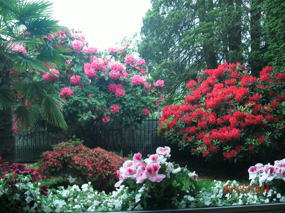 The Stone Hedge Bed and Breakfast Hotel in Richmond