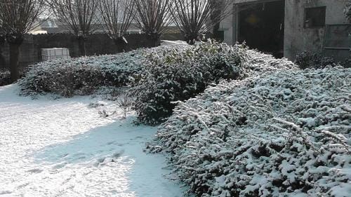 B&B 't Huys van Enaeme Hotel in Flanders