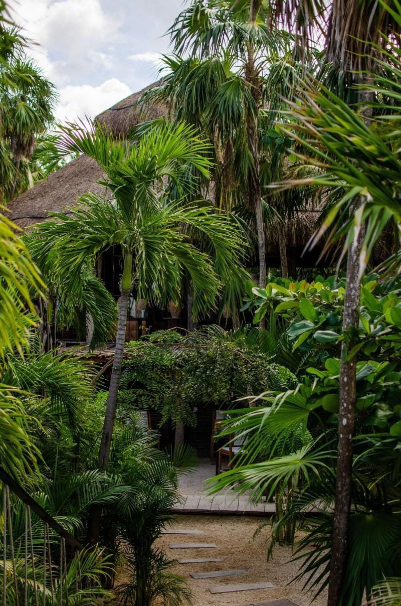 The Radhoo Adults Only Hotel in State of Quintana Roo