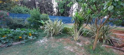 Mas Hotel in Tarascon