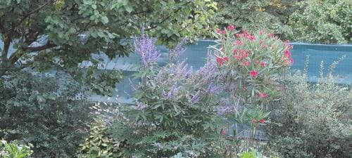 Mas Hotel in Tarascon