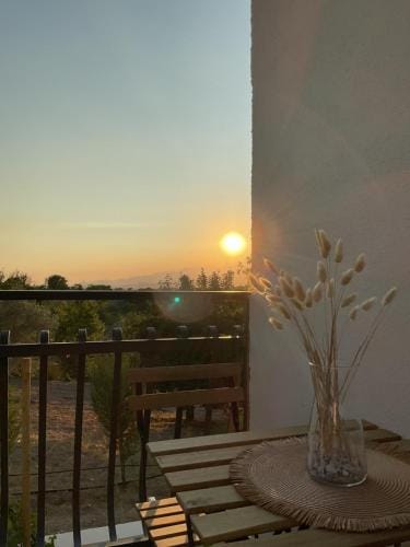Guar Country Resort Hotel in Campania