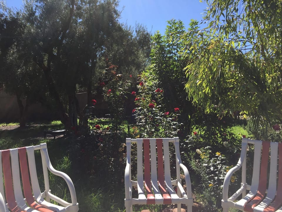 Dar Bohota Hotel in Marrakesh-Safi