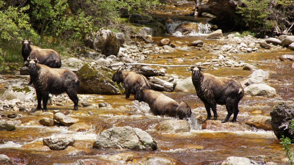 Bhutan Serviced Apartments Hotel in Asia