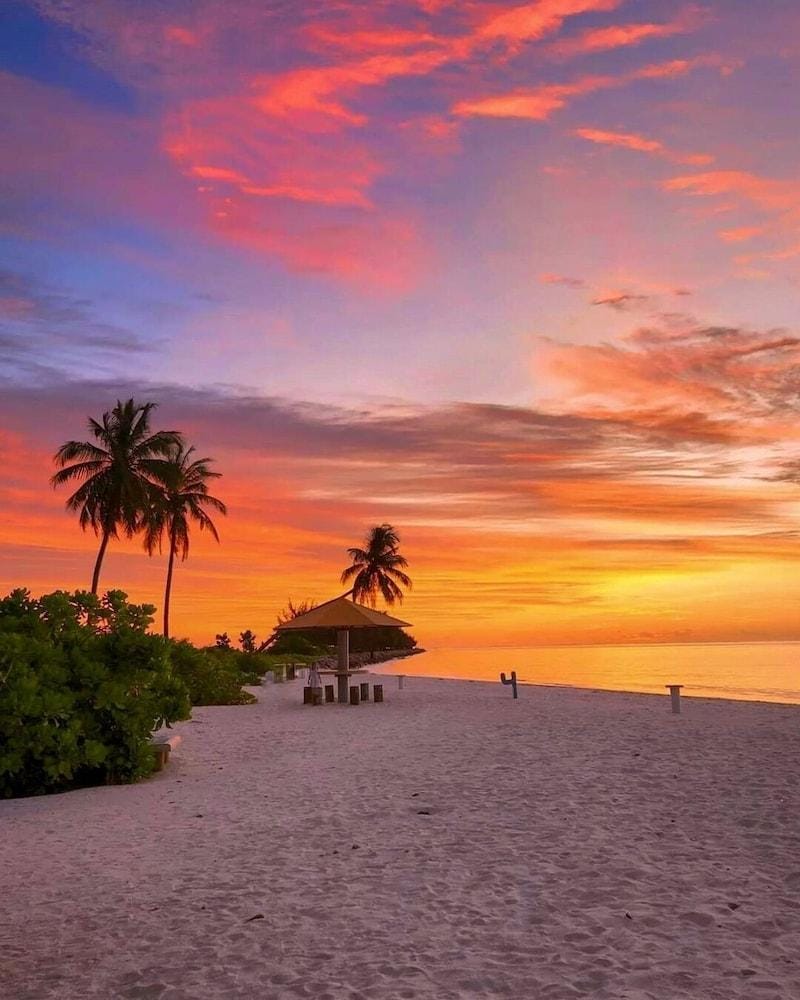 Blue Wave Guest House Hotel in Maldives
