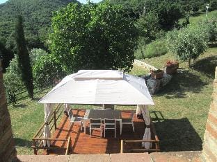 Villa in Tuscany with Pool  Olive Groves Hotel in Tuscany