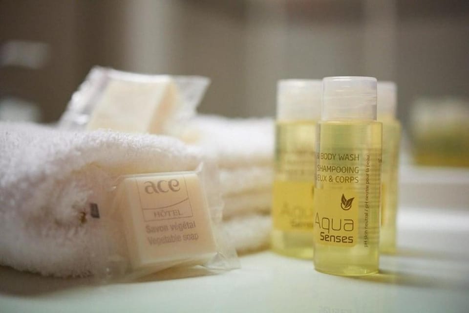 ACE Hôtel Troyes Hotel in Troyes