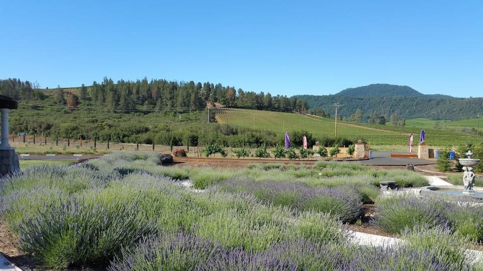 Thorn Hill Vineyard Villas Hotel in Clear Lake